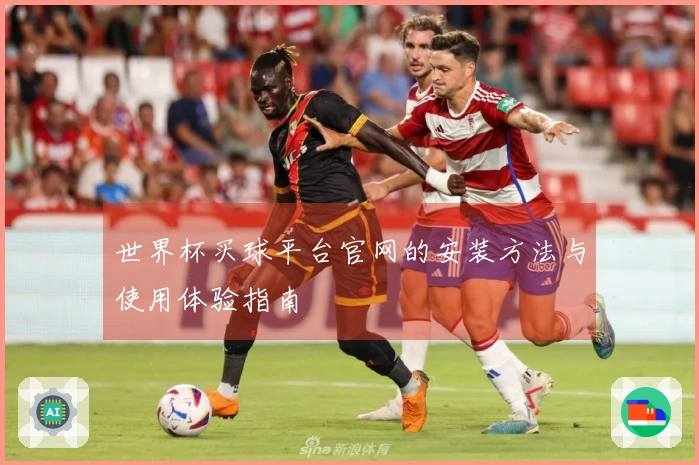 世界杯买球平台官网的安装方法与使用体验指南