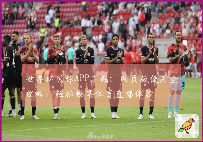 世界杯买球APP下载：网页版使用全攻略，轻松畅享体育直播体验