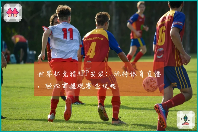 世界杯竞猜APP安装：玩转体育直播，轻松掌握观赛全攻略