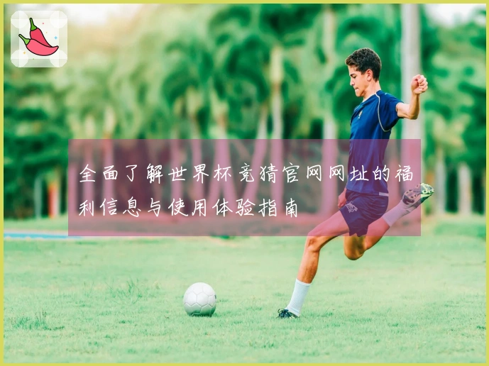 全面了解世界杯竞猜官网网址的福利信息与使用体验指南