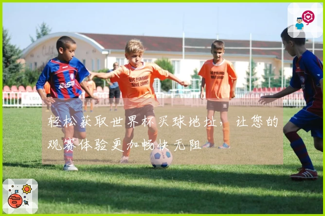 轻松获取世界杯买球地址，让您的观赛体验更加畅快无阻