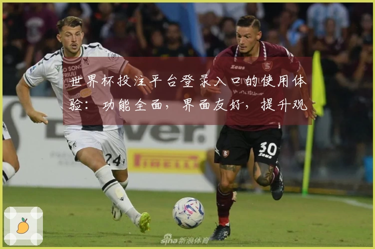 世界杯投注平台登录入口的使用体验:功能全面,界面友好,提升观看乐趣