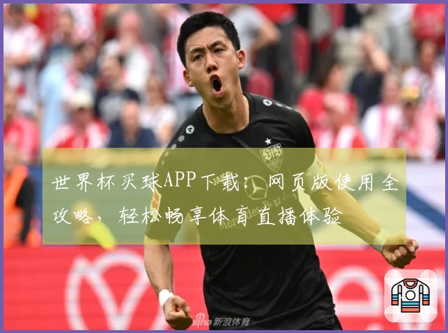 世界杯买球APP下载：网页版使用全攻略，轻松畅享体育直播体验
