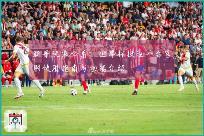 新手玩家必看：世界杯投注平台官网使用指南与功能介绍