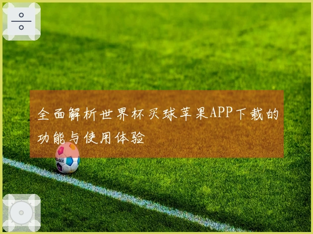 全面解析世界杯买球苹果APP下载的功能与使用体验