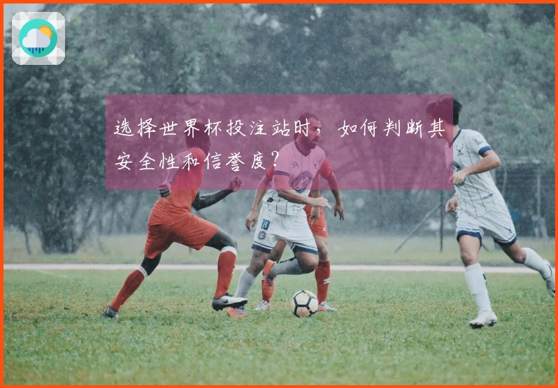 选择世界杯投注站时，如何判断其安全性和信誉度？